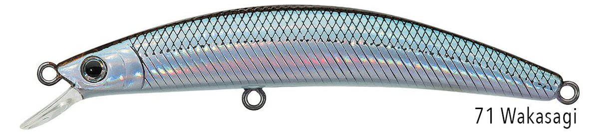DR.MINNOW JERKBAITS
