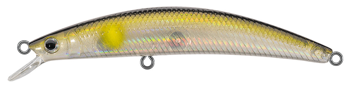 DR.MINNOW JERKBAITS