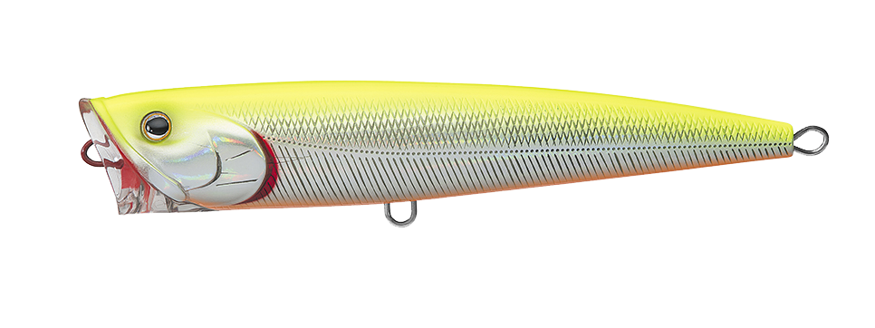 SALTIGA DORADO POPPER