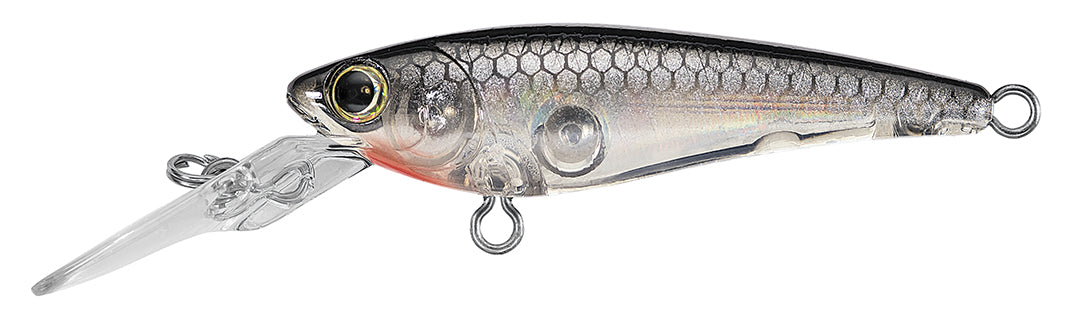 SC SHAD