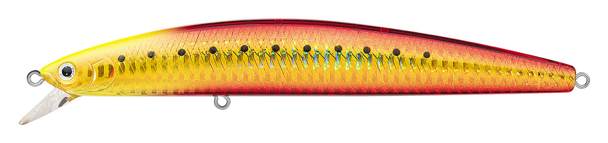SALT PRO MINNOW (FLOATING)